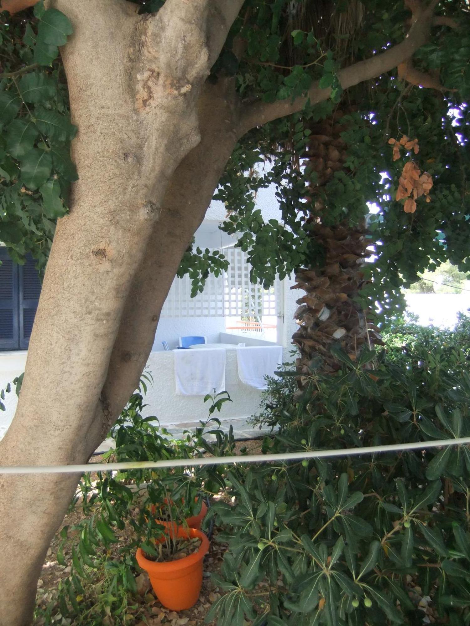 Tatsis Apartments Masouri Zimmer foto