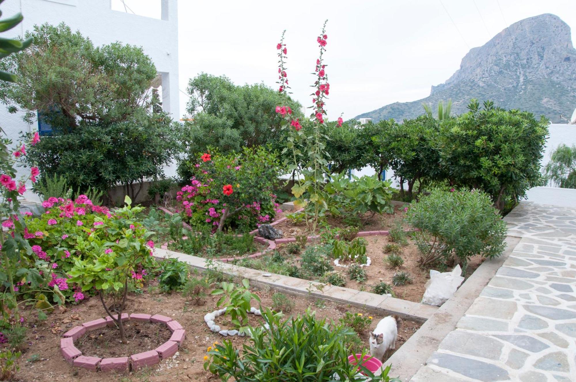 Tatsis Apartments Masouri Zimmer foto